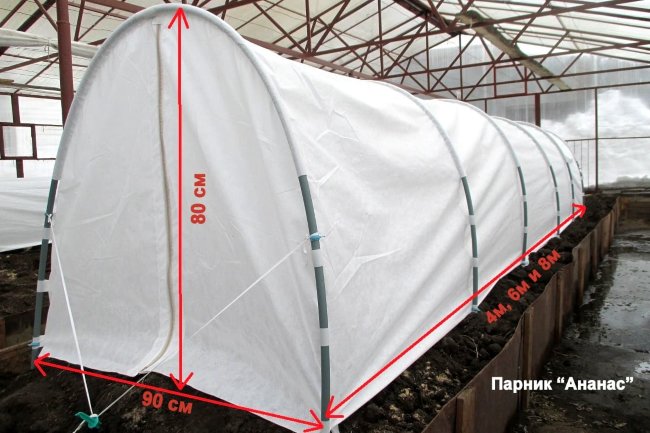 Парник Ананас на молнии 6х0,9х0,8 м
