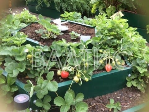 Клумба из оцинкованной стали с полимерным покрытием